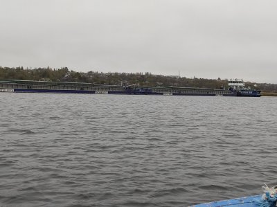 IMG_20201120_115226.jpg
