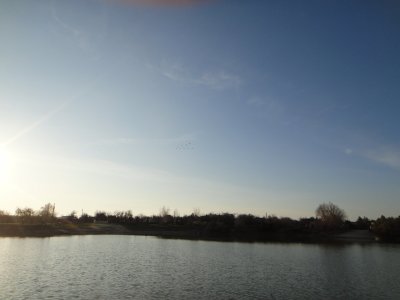 DSC02894.JPG