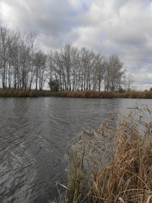 IMG_20201127_123454.jpg