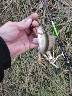 IMG_20201127_151302.jpg