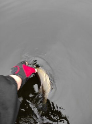 IMG_20201129_100057_1.jpg