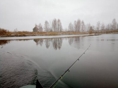 IMG_20201202_103151.jpg