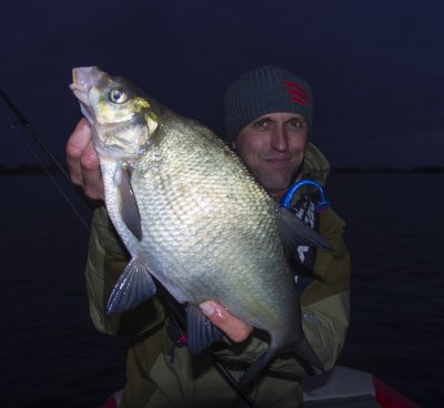Bream.JPG