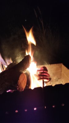 IMG_20201210_175308.jpg