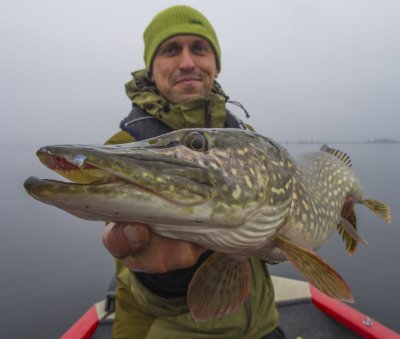 Good pike morning_1.JPG