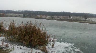 IMG_20201212_122805[1].jpg