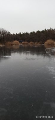 IMG_20201212_090505.jpg