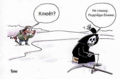 13_n.jpg
