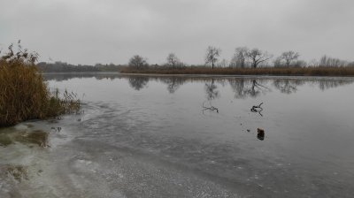 IMG_20201215_092726.jpg