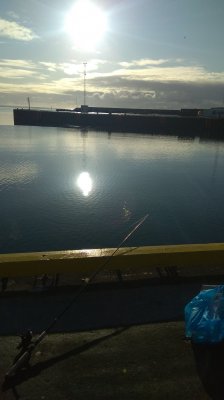 IMG_20191027_134039.jpg