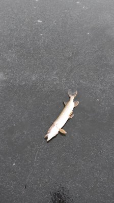 IMG_20201223_072848.jpg