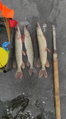 IMG_20201223_105212.jpg