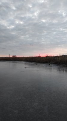IMG_20201228_072034.jpg