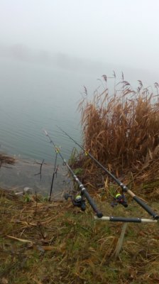 IMG_20201230_101205[1].jpg