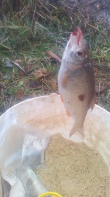IMG_20201230_105956[1].jpg