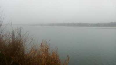 IMG_20201230_110426[1].jpg