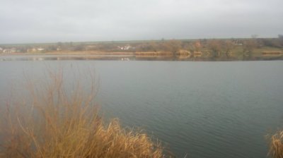 IMG_20201230_130717[1].jpg