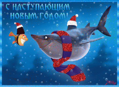 272954449.gif
