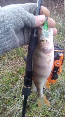 IMG_20210105_132459[1].jpg