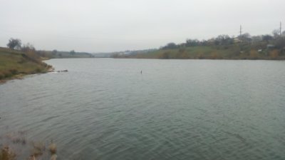 IMG_20210105_132508[1].jpg