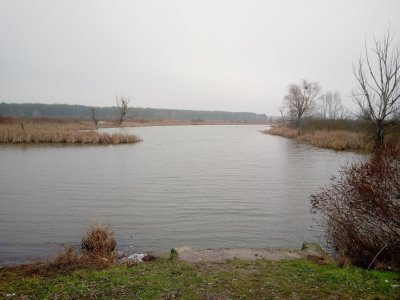 IMG_20210105_095533.jpg