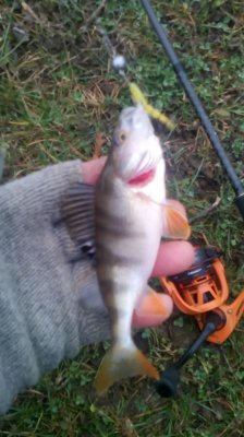 IMG_20210106_144643[1].jpg