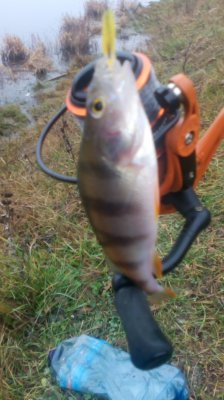 IMG_20210106_145754[1].jpg
