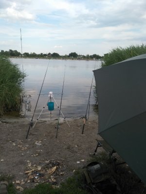IMG_20200721_173545.jpg