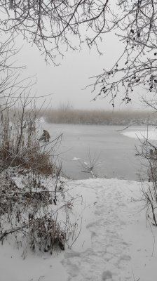 IMG_20210115_083607.jpg