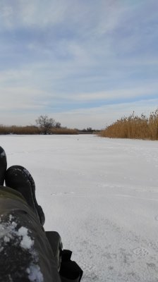 IMG_20210117_091132.jpg