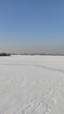 IMG_20210120_123328.jpg