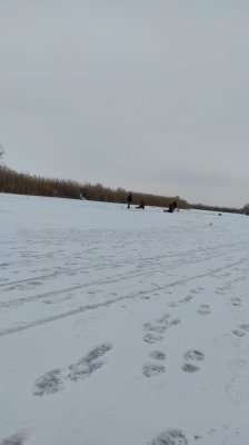 IMG_20210121_125051.jpg