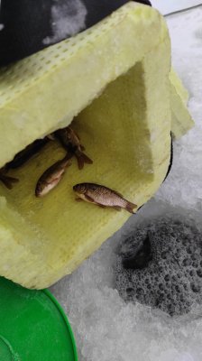 IMG_20210121_130844.jpg