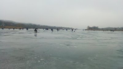 IMG_20210123_101342[1].jpg