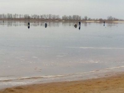 IMG_20210124_094349.jpg