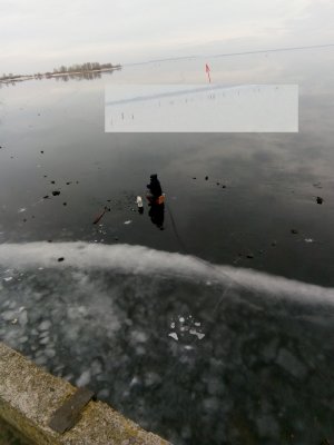 IMG_20210124_102158.jpg