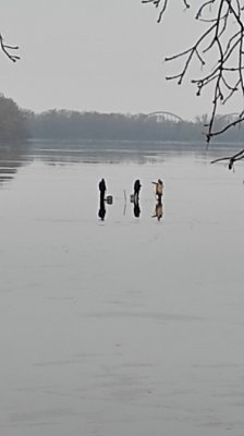 IMG_20210125_083324.jpg