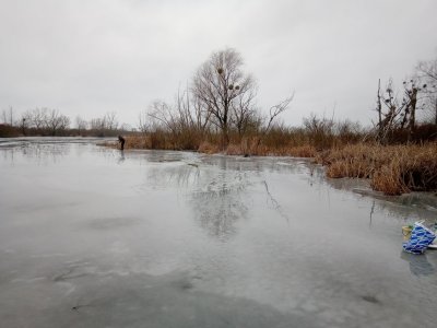 IMG_20210124_102645.jpg