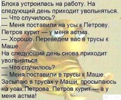 блоха в трусах.jpg