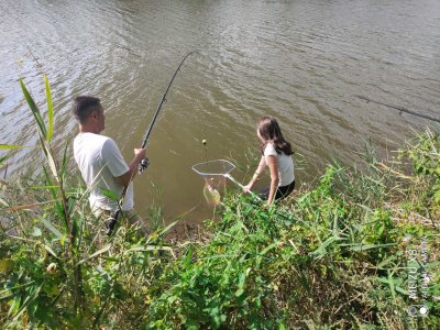 IMG-faad8b68698fa4c1083185075fa6b9c7-V.jpg