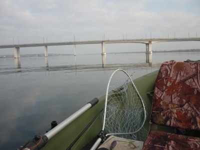 P1170036.JPG