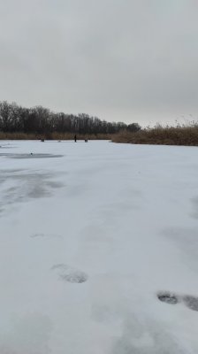 IMG_20210209_085538.jpg