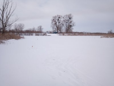 IMG_20210217_093141.jpg