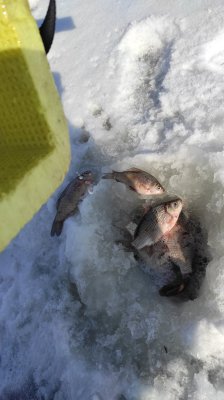 IMG_20210220_114403.jpg