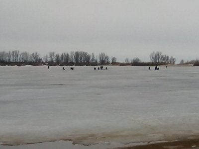 IMG_20210228_071542.jpg