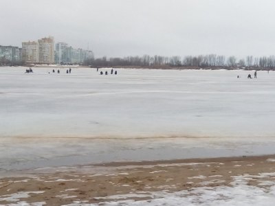 IMG_20210228_071736.jpg