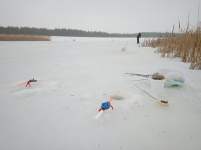 IMG_20210224_100453.jpg