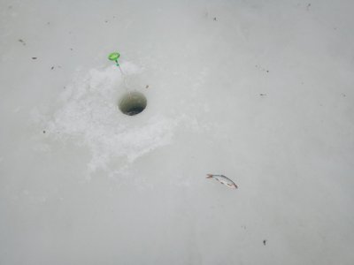 IMG_20210224_110954.jpg