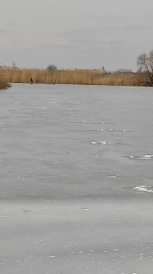 IMG_20210310_120944.jpg