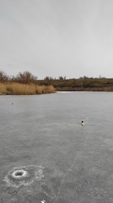 IMG_20210310_121237.jpg
